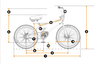 PROJECT BMX - EvolveSkateboards UAE