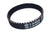GT/GTR Evolve Belt - EvolveSkateboards UAE